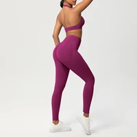 2 Piece Yoga Clothes Women's Tracksuit Athletic Wear Pilates Fitness Suit Gym Workout Push Up Clothes Sports Bra Leggings Suit - Image 4
