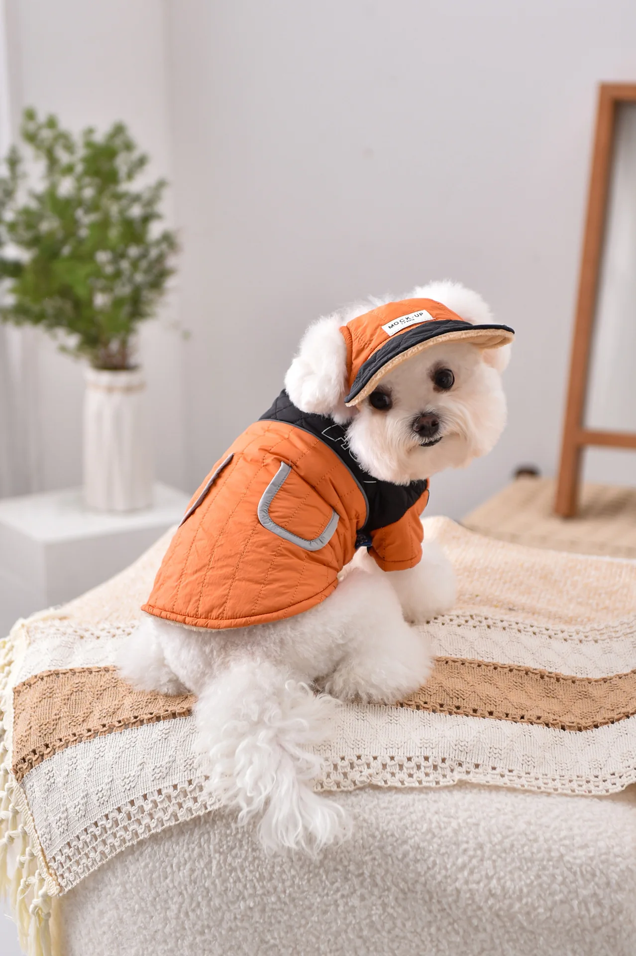 Winddichtes Mantel- und Mützen-Set für französische Bulldogge, Hundekleidung, Sweatshirt, Haustier-Outdoor-Outfit, Jacke, XS, 4XL, Katze, Chihuahua, Möpse – Detail 7