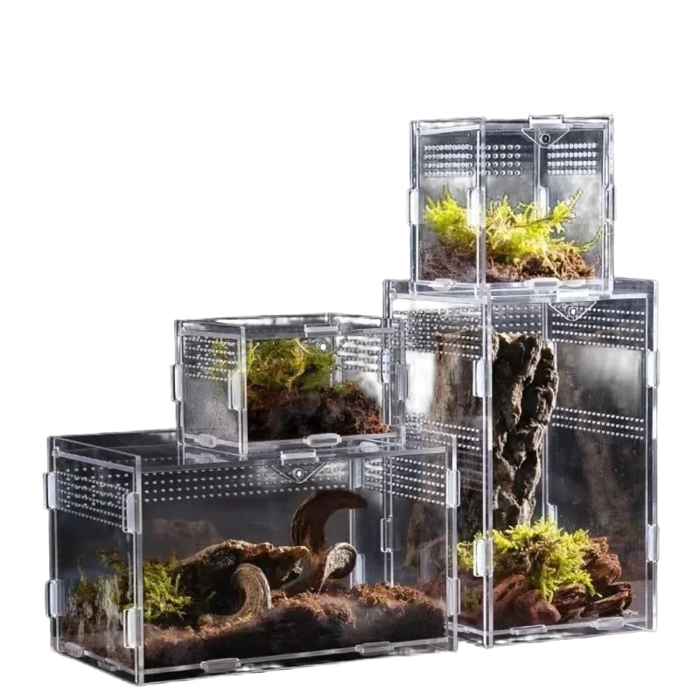 Durable Acrylic Reptile Habitat Clear Multiple Size Lizard Breeding Box Anti-Escape Arboreal Small Pet Cage for Scorpion - view 2