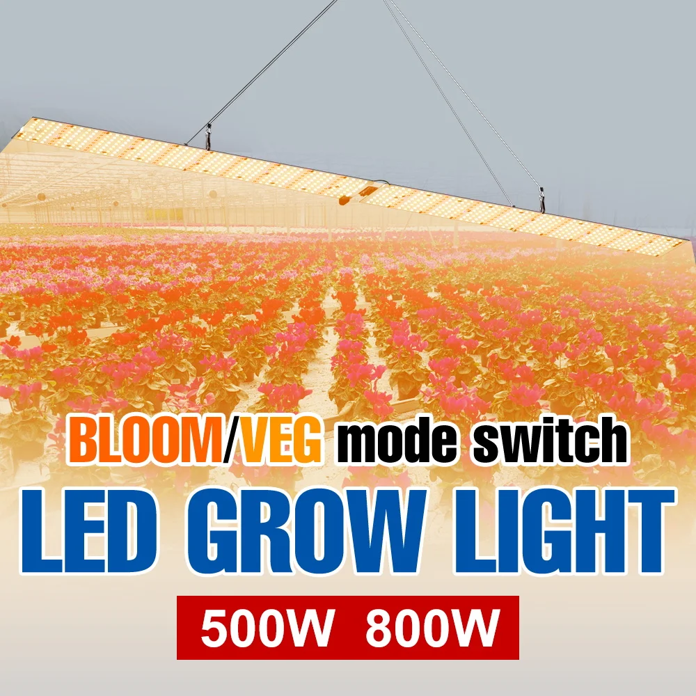 1000W Full Spectrum Plant Grow Lights LED Quantum Board Hydroponics Fill Lamp Greenhouse Tent Vegetables Cactu Flowers Lighting