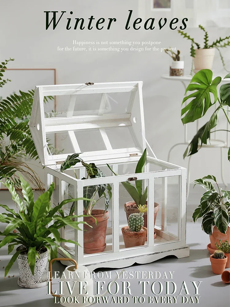 Plant glass conservatory French white miniature soup doll house handmade DIY solid wood transparent display case