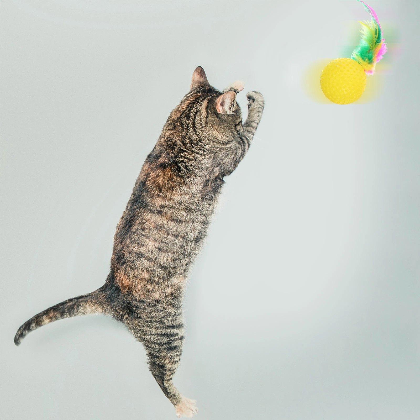 

2Pcs Plastic Ball Game Durable Colorful Tail Sponge Balls for Energetic Cats Balls for Cat