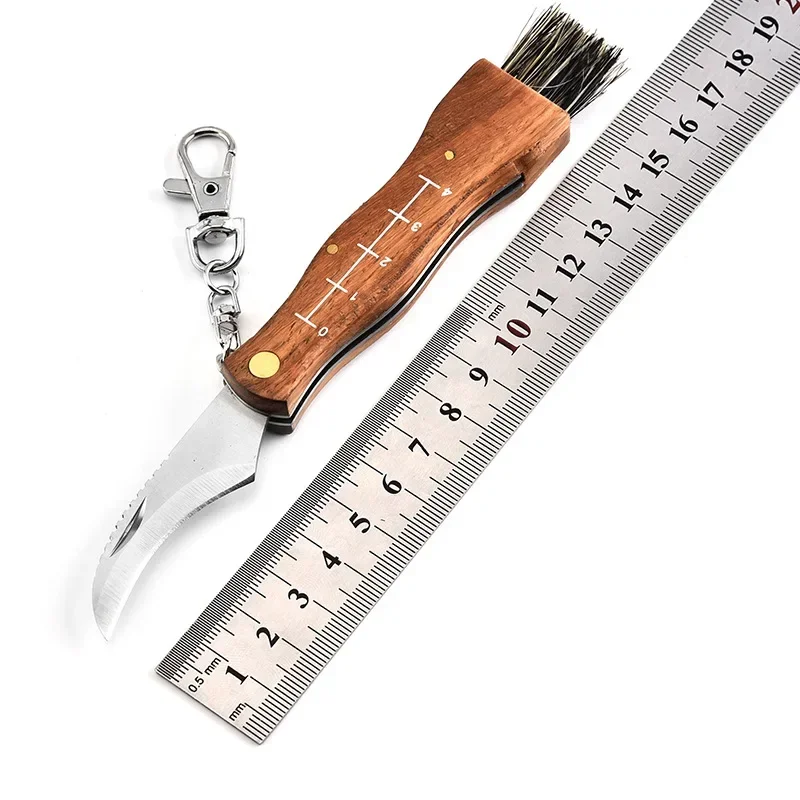 Multi Functional Brush Folding Knife, Stainless Steel Blade, Wooden Handle, Outdoor Mini Mushroom Knife, Travel Camping Tool