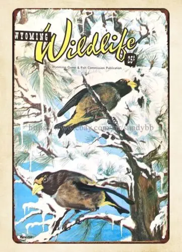 1p,Evening Grosbeak 1966 Wyoming Wildlife magazine cover metal tin sign garage idea