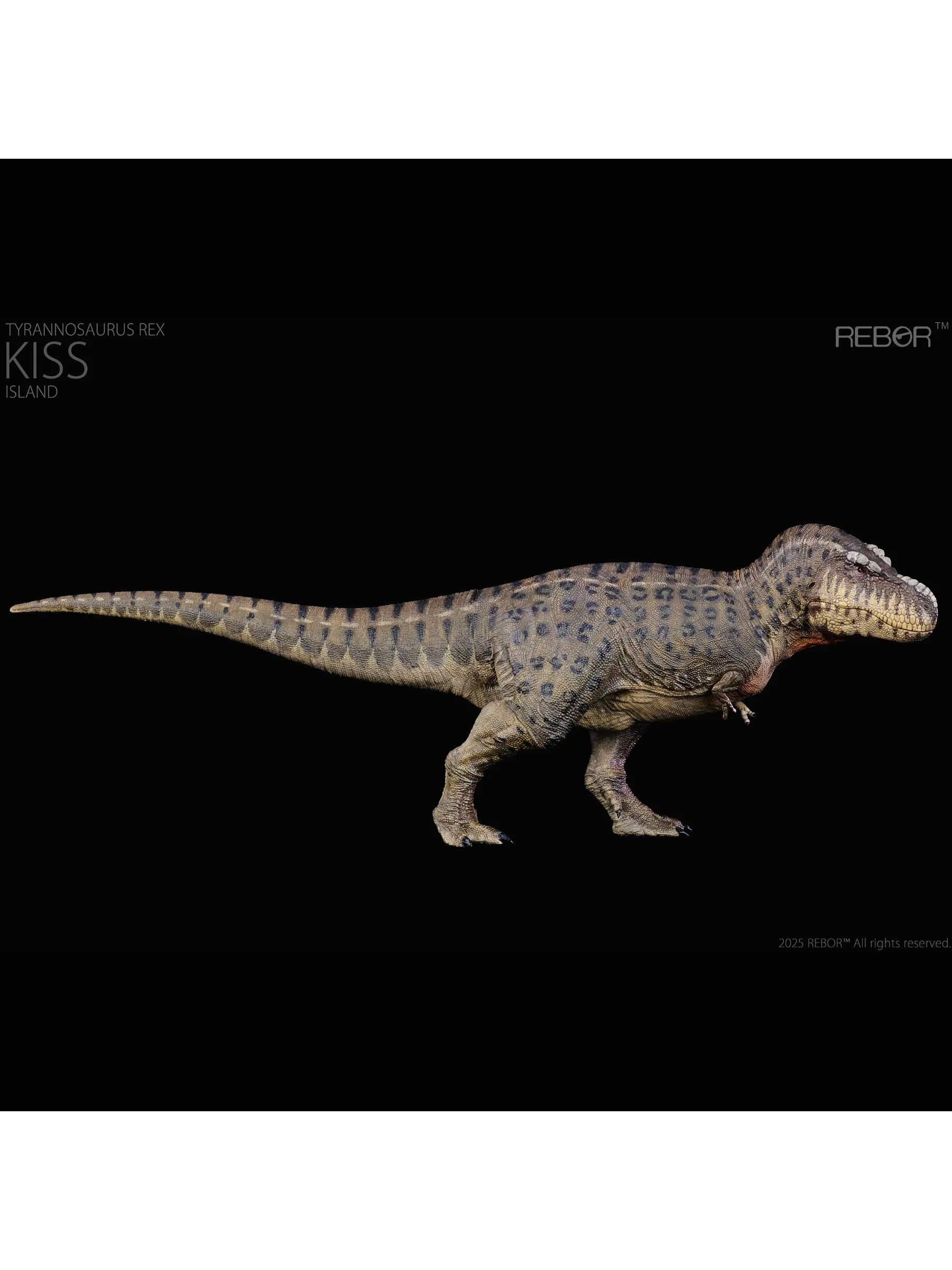 REBOR 1:35 Tyrannosaurus Rex “KISS” Island Model Collection