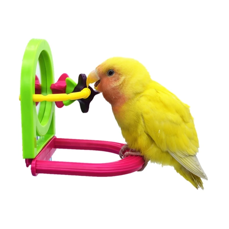 2024 New Bird Training Stand Portable Tabletop Lightweight Parrot Perches with Windmill/Bells for Small Medium Parakeets Finches