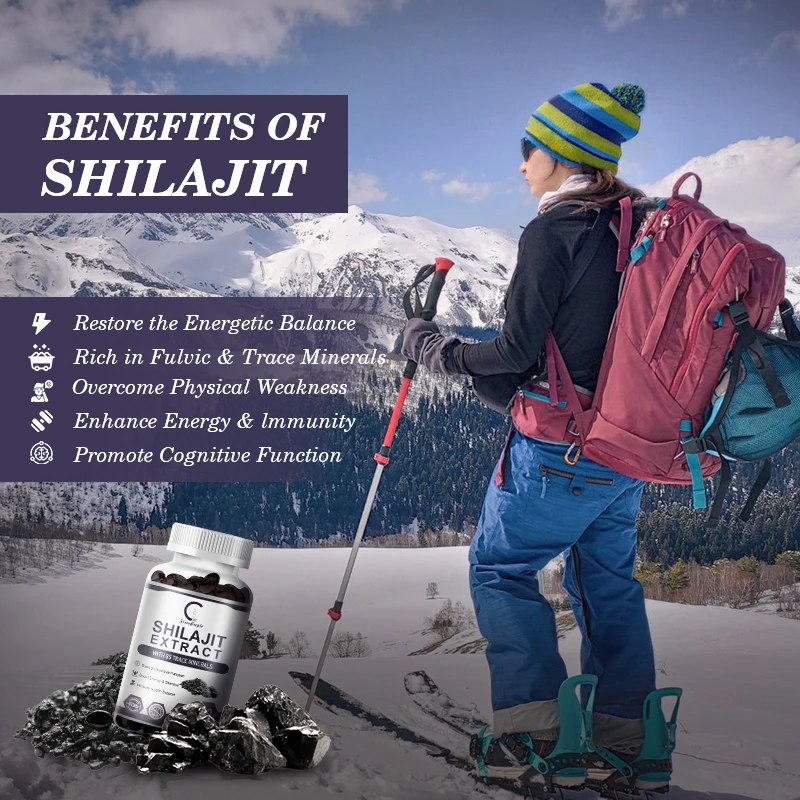 GPGP Greenpeople Shilajit Extract Capsule with over 85+Trace Minerals&Fulvic Acid Himalayan Pure Original Shilajit Resein Energy