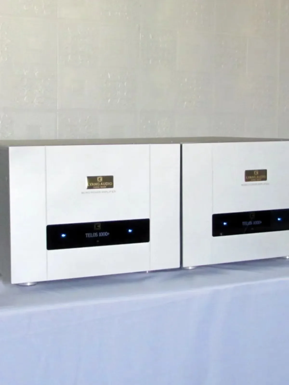 AMXEKR Goldmund Telos 1000 Line 800W*2 Class A and B Fully Balanced Split Pure Post-stage Hifi Power Amplifier