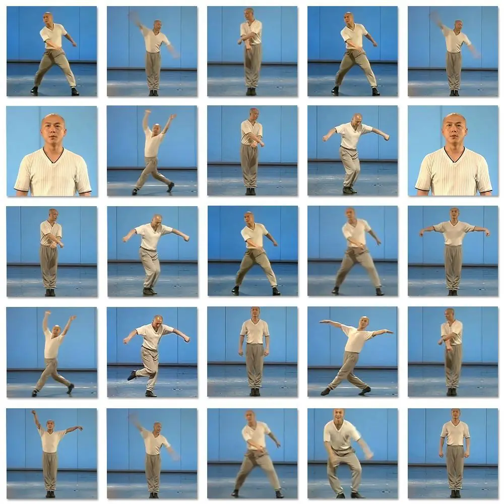 10/120Pcs Abstract Zhao Tiechun's Flash Step Kung Fu Stickers Internet Hot Memes Handbooks Desktop Decoration Stickers Decal Toy