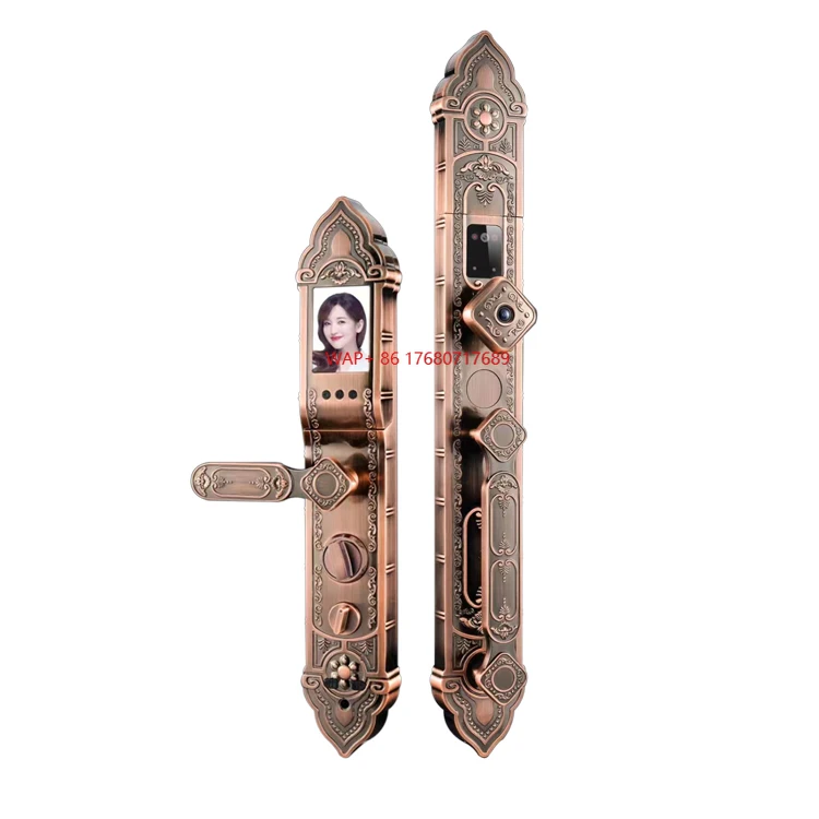 

European Style Keyless Cerradura Inteligente Home Security Key Face Recognition Card Digital Home Electronics Smart Door Lock