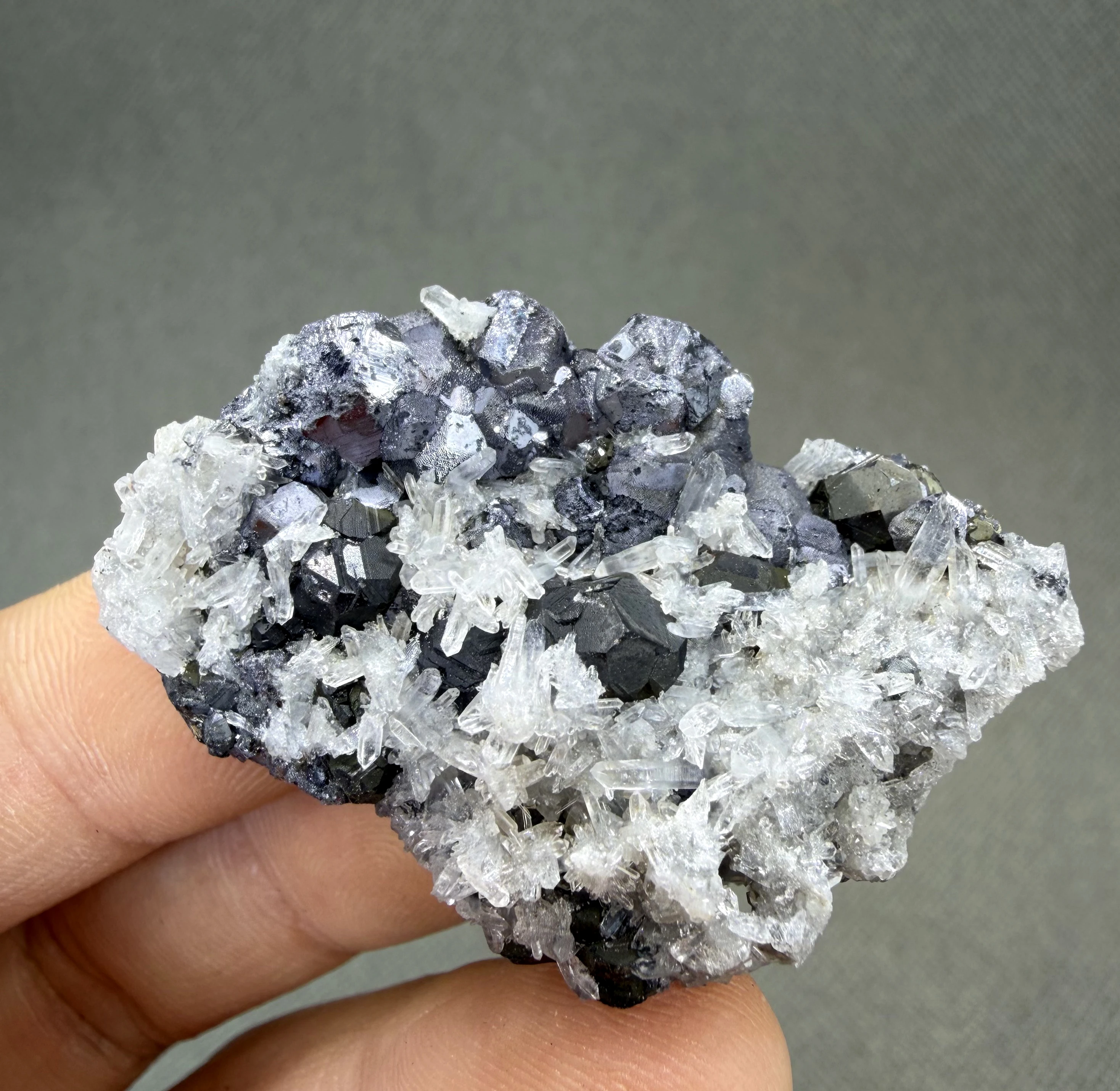 Rare — 37g Galena naturally intergrown with Quartz — Sharp cubic crystals on clear prisms — No glue, no repair