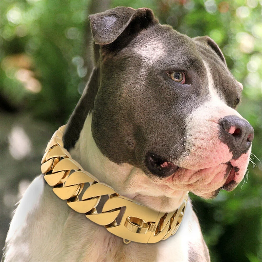 Fashion  Adjustable Stainless Steel Metal Chain Scottish Dog Chian Collar for Dog
