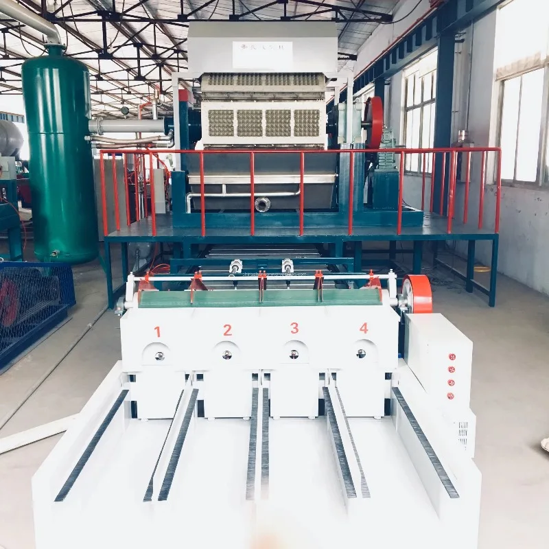 Automatic Egg Tray Manufacturing Machine Small Footprint Low Consumption Pulp Molding Equipment Customized Internal Structure