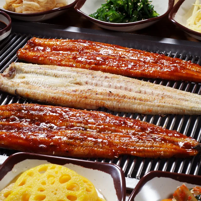 ثعبان البحر العشبي المحلي المضاد للبكتيريا جابونيكا 500 جرام