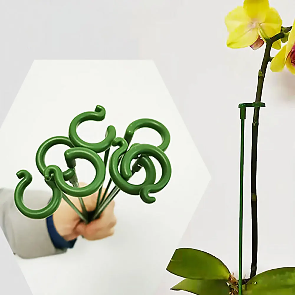 دعامة دعم الزهور للحديقة الخارجية، دعامة تثبيت نباتية ذات عمود واحد، إطار مضاد للإزالة، دعم البستنة للنباتات