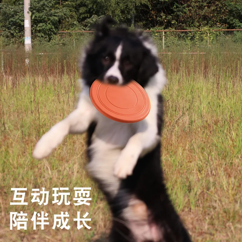 

Pet Thin Puppy Training Dog Toys, Training Throwing Interactive Floating Border Collie Toys