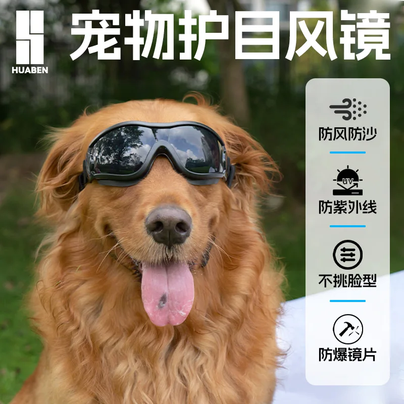 Pet glasses, dog sunglasses, protective eyewear, UV-resistant sunglasses, golden retriever and Bichon Frise style sunglasses