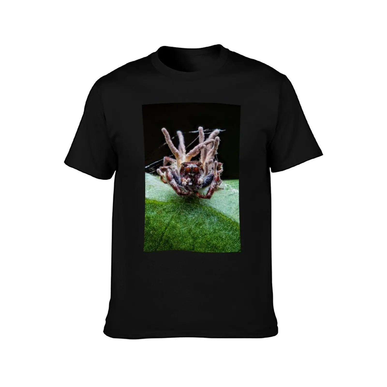 Zombie Jumping Spider - Cordyceps Fungus Infection T-Shirt Soft Anti-Shrink Cotton Tee T-Shirt