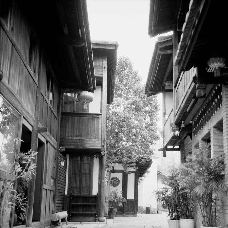 1/2/3/5/8 ロール Rollei RPX 25 120 白黒ネガフィルム（36 露出/ロール）120 フィルムカメラ カメラ (有効期限: 2026)