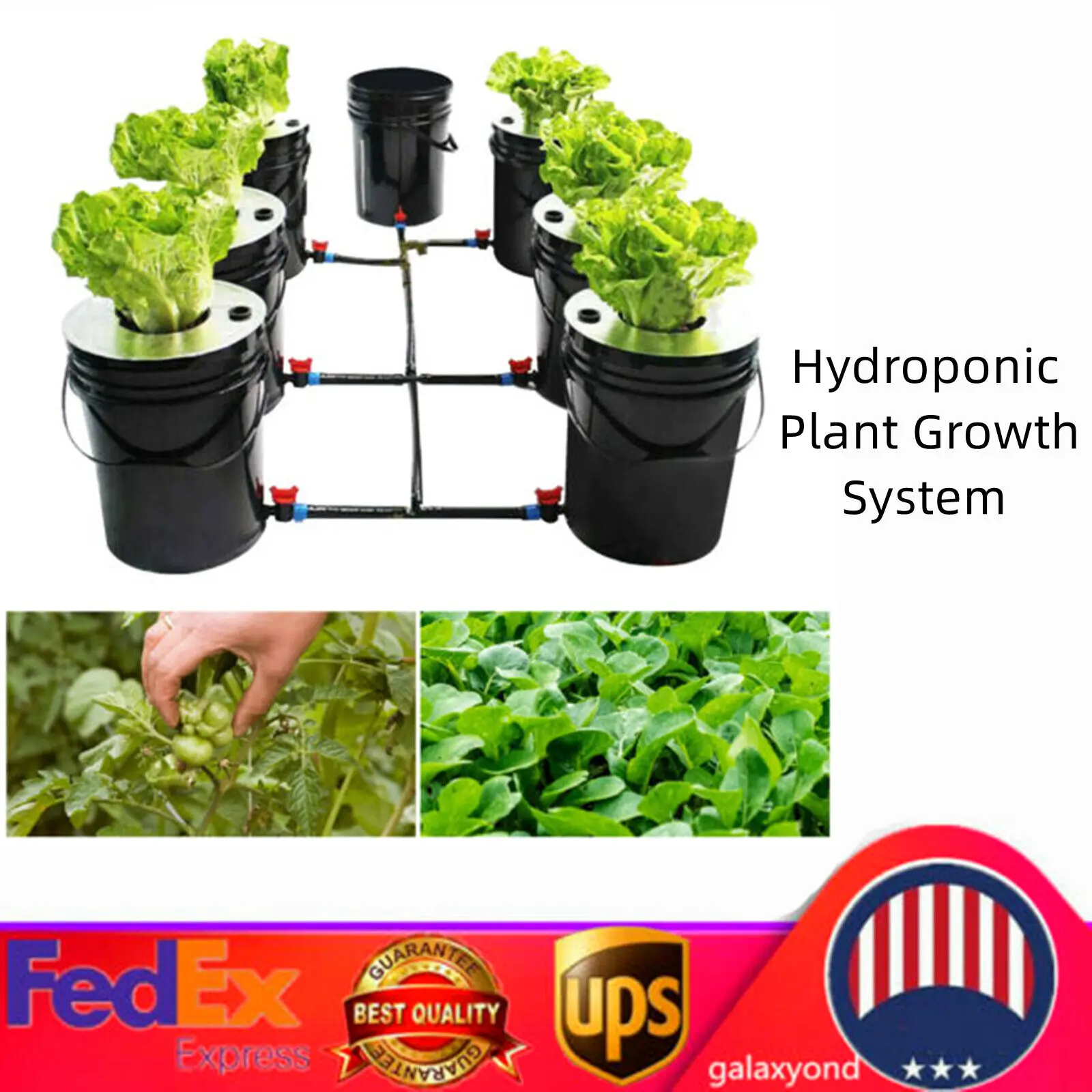 

7 Pots 5 Gallon Deep Water Culture (DWC) Hydroponic Soilless Cultivation Kit Recirculation System +Air Pump 20L