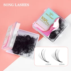 SongLash 5D/9D 05/07 Thickness 9-18mm Premade Volume Wispy Fans Eyelash Extensions Handmade Natural False Lashes Extensions