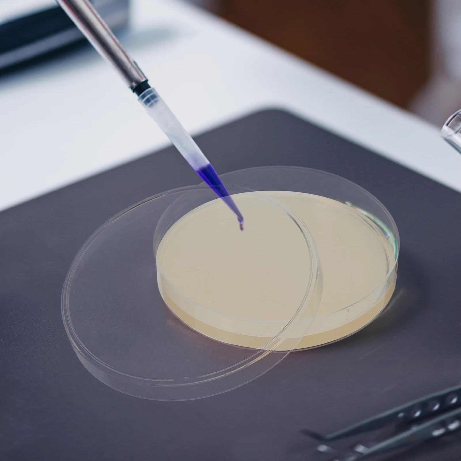 

10pcs Agar Plates Disposable Nutrient Agar Medium For Biology Science Projects Vacuum Packaging Bacterial Culture Determine