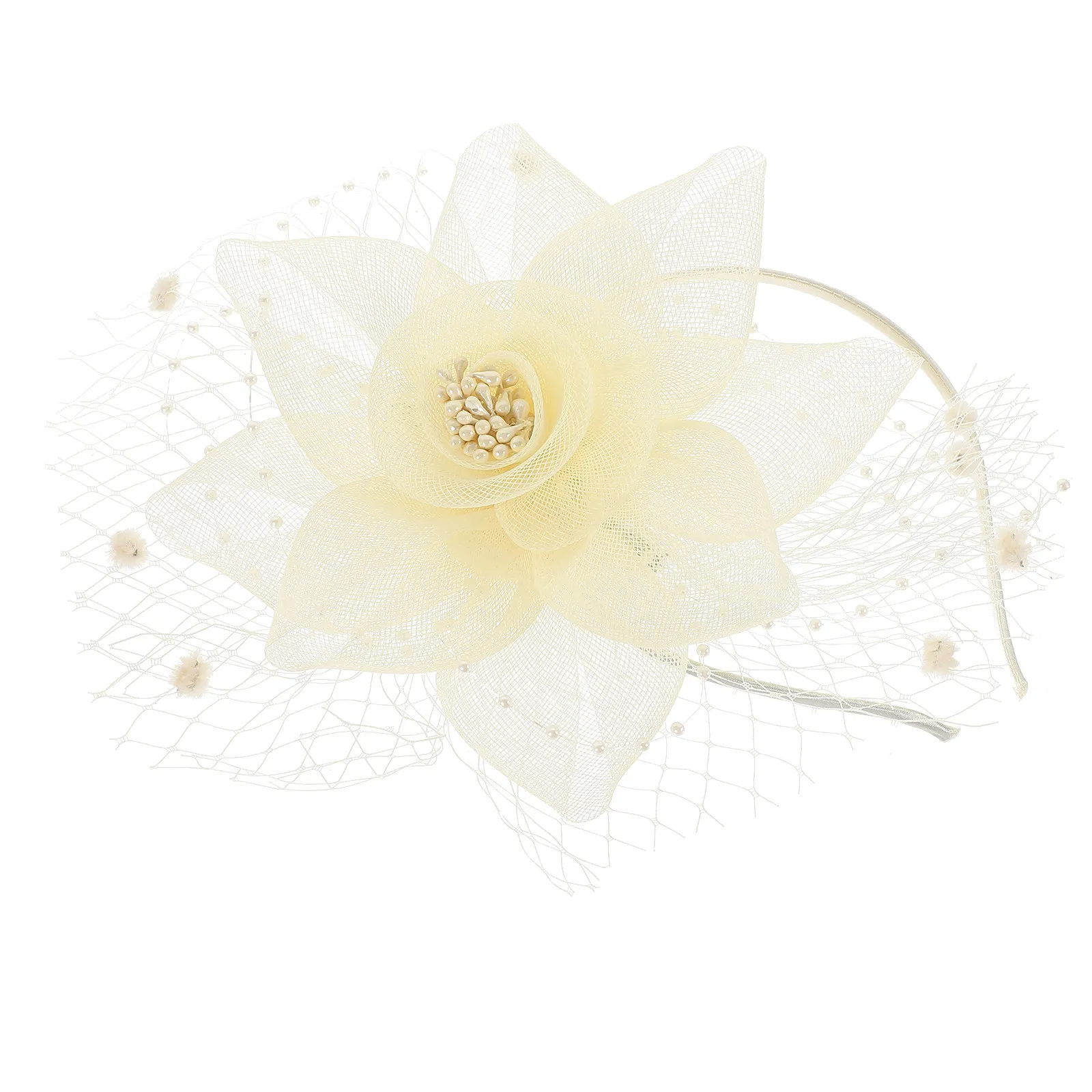 Fashionable Women Mesh Fascinator Headpiece Elegant Romantic Design Perfect for Wedding Evening Party Banquet Tea Party