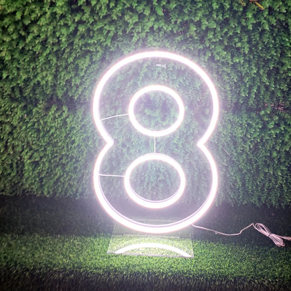 Custom Acrylic Neon Sign for Birthday Party, Personalized LED Light, Letter Gift, Anniversary Decor, 0-9 Numbers