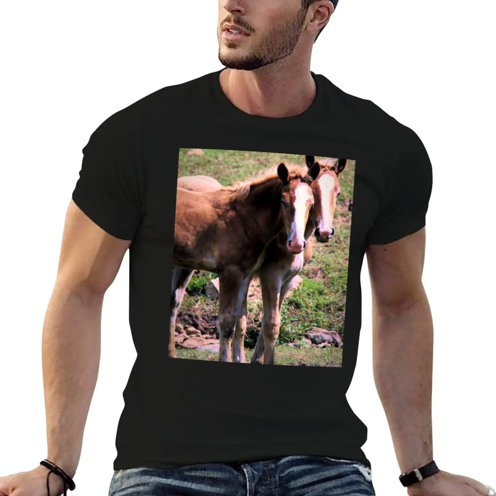Polletos de caballo de tiro belga en el condado de Lancaster, camiseta de Pensilvania, camiseta lisa para hombre, camiseta de verano