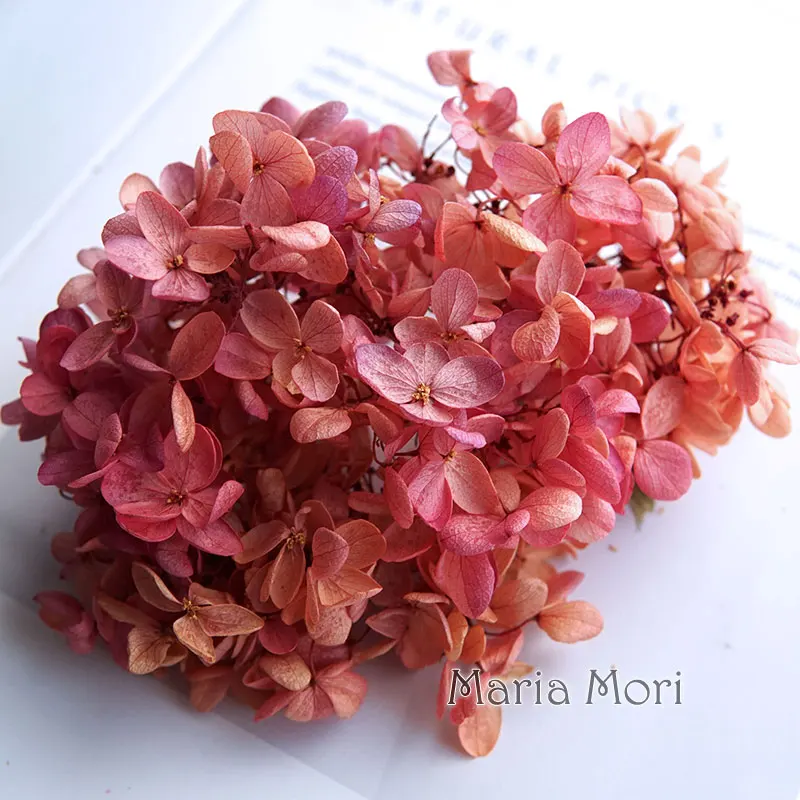 Grandient Color Ellipse Petals Preserved Hydrangea Paniculata Office Decor Crystal Glue DIY Flowers Scented Candles Material