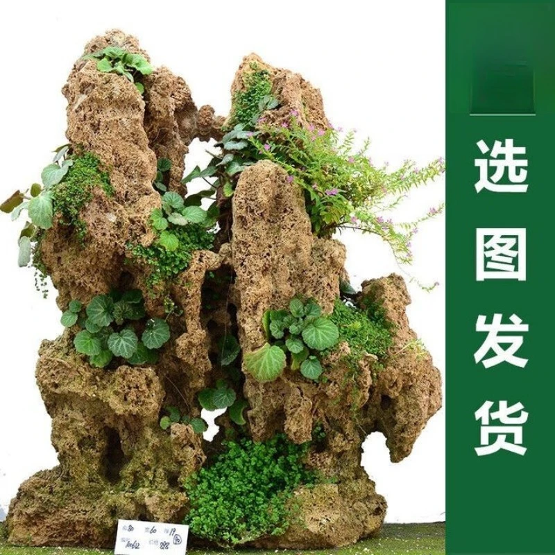 Shiguang Station Absorbent Stone Natural Stone Bonsai