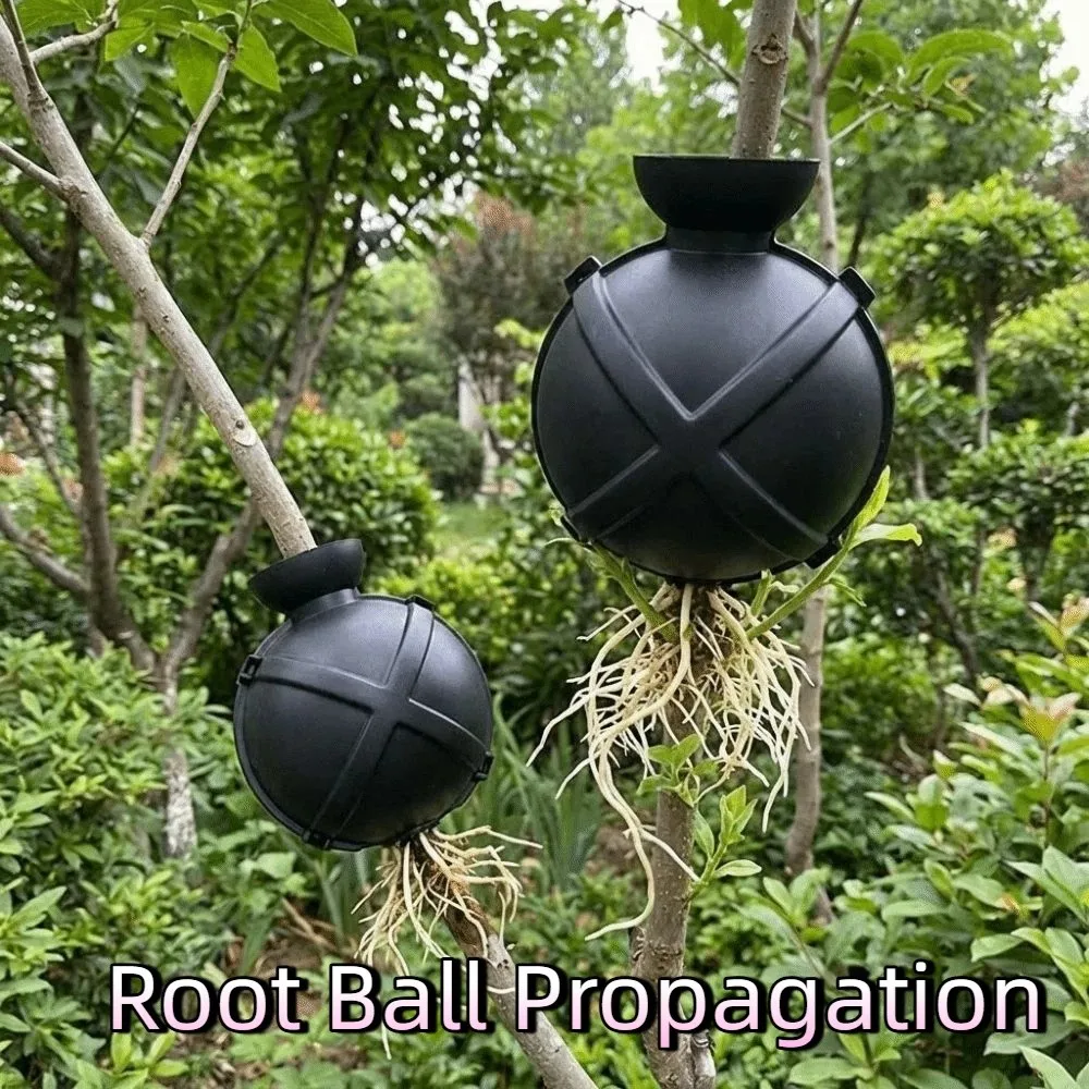 5PCS Plastic Grafting Rooting Ball Fast Propagation Nursery Ball Propagation Grow Case Safety Locks Plant Root Device