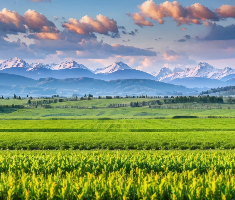 

Tuya Wi-Fi беспроводной дверной звонок HD камера наблюдения PIR обнаружение движения ночное видение 4,3-дюймовый перезаряжаемый видеодверной звонок