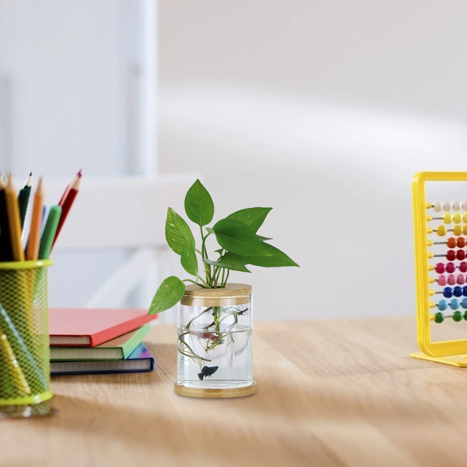 

4Pcs Hydroponic Vase Wood Lid Hollow Hole Design Lid for Glass Planter Home Office Shelf Hydroponic Planter Cover