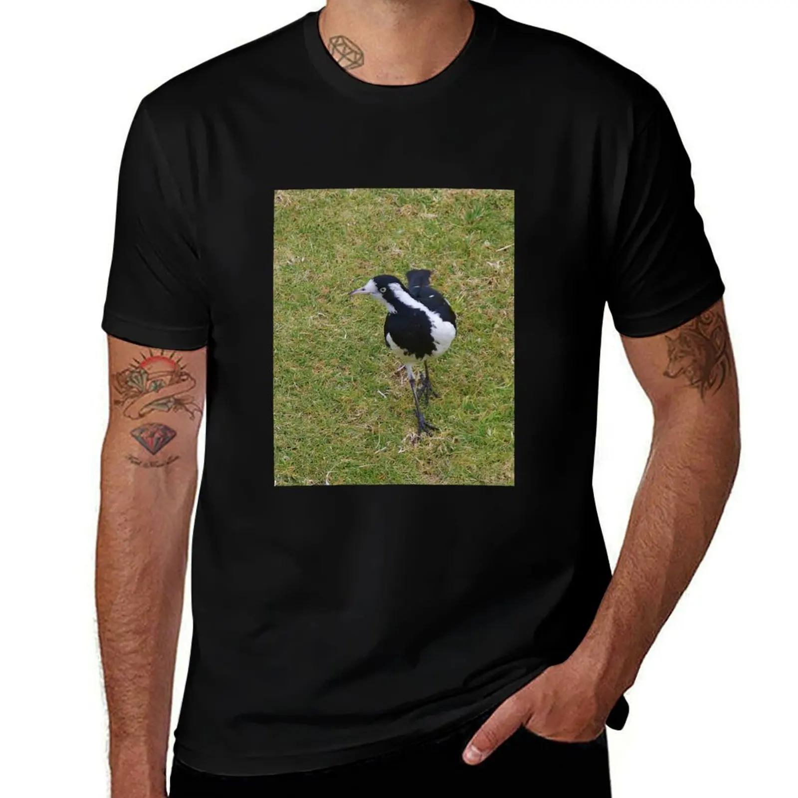 Magpie-lark (Grallina cyanoleuca) T-Shirt plus size clothes for a boy street wear men t shirts high quality