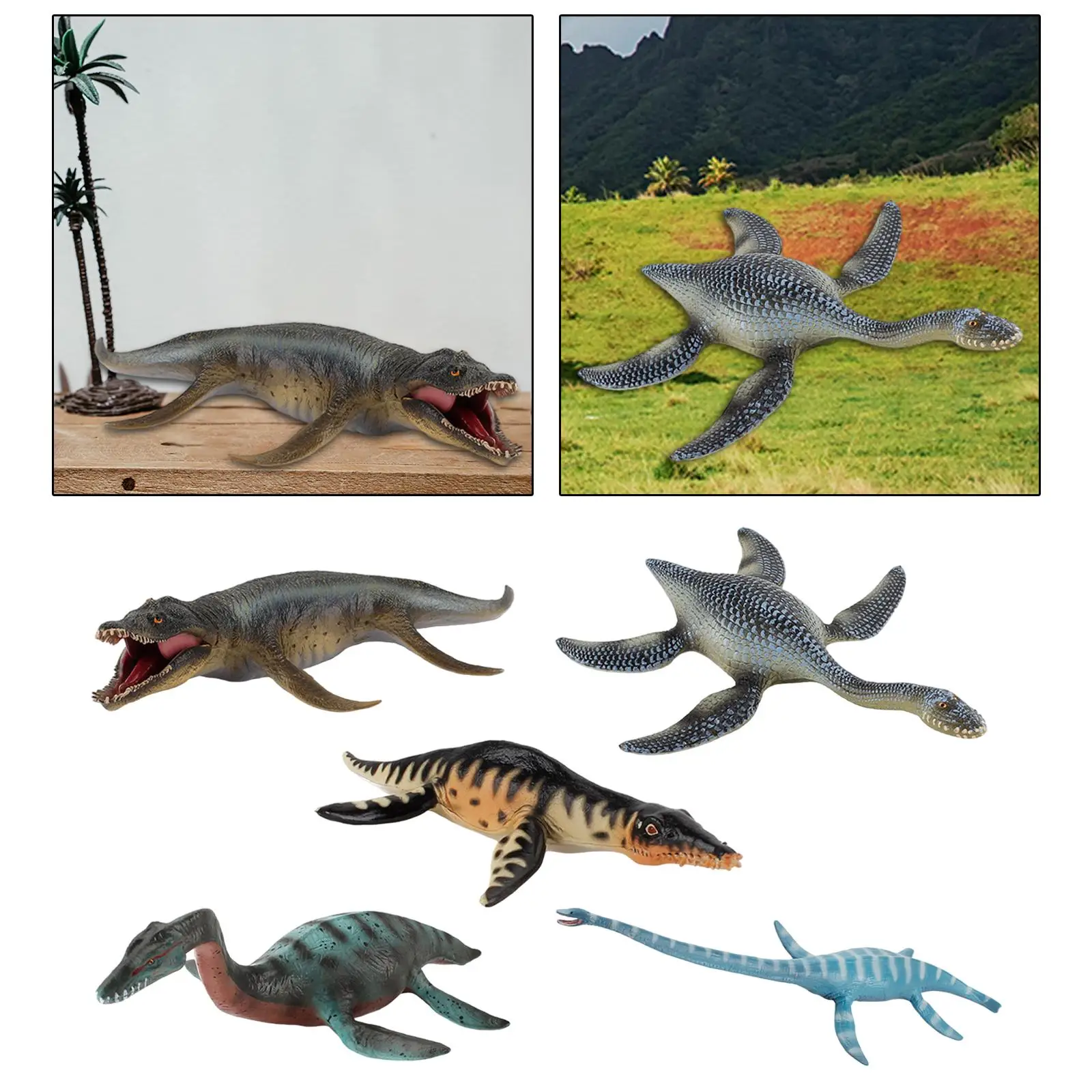 Figura realista di dinosaurio marino di grandes dimensiones Decorazioni per