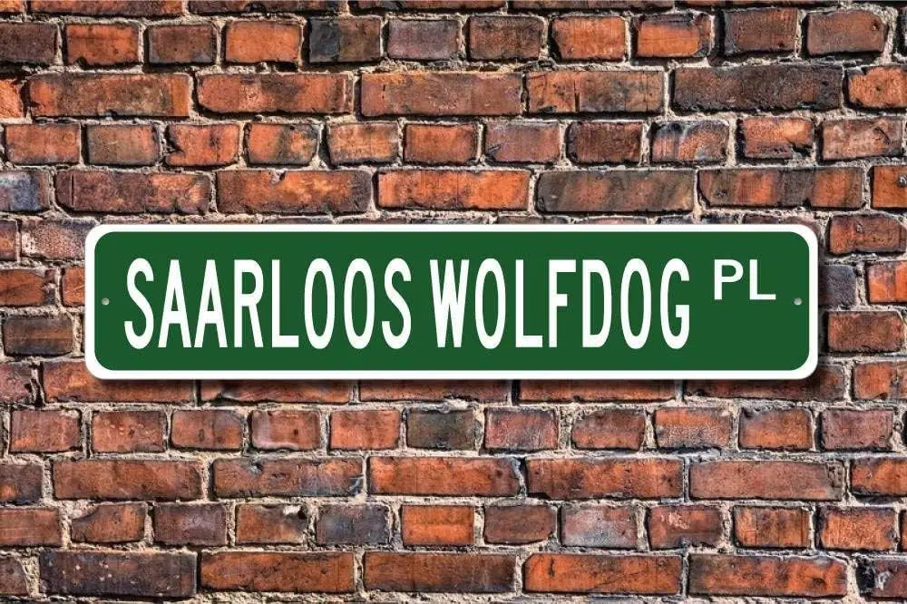 Metal Street sign Stree Sign Plaque Saarloos Wolfdog Sign Lover Dog Lover Gift Metal Aluminum Sign 16x4 inches