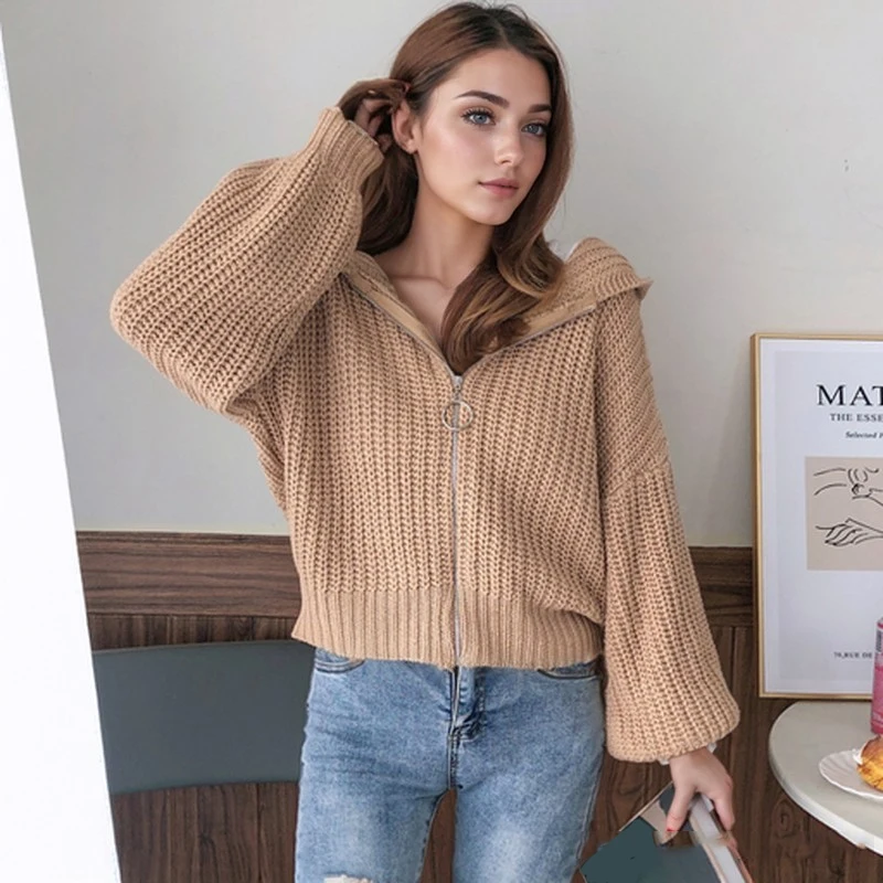 Sweter Kardigan Longgar Berkerudung Musim Gugur dan Musim Dingin Atasan Ritsleting Warna Solid Wanita Baru Pakaian Rajut Kasual Fashion Lengan Panjang