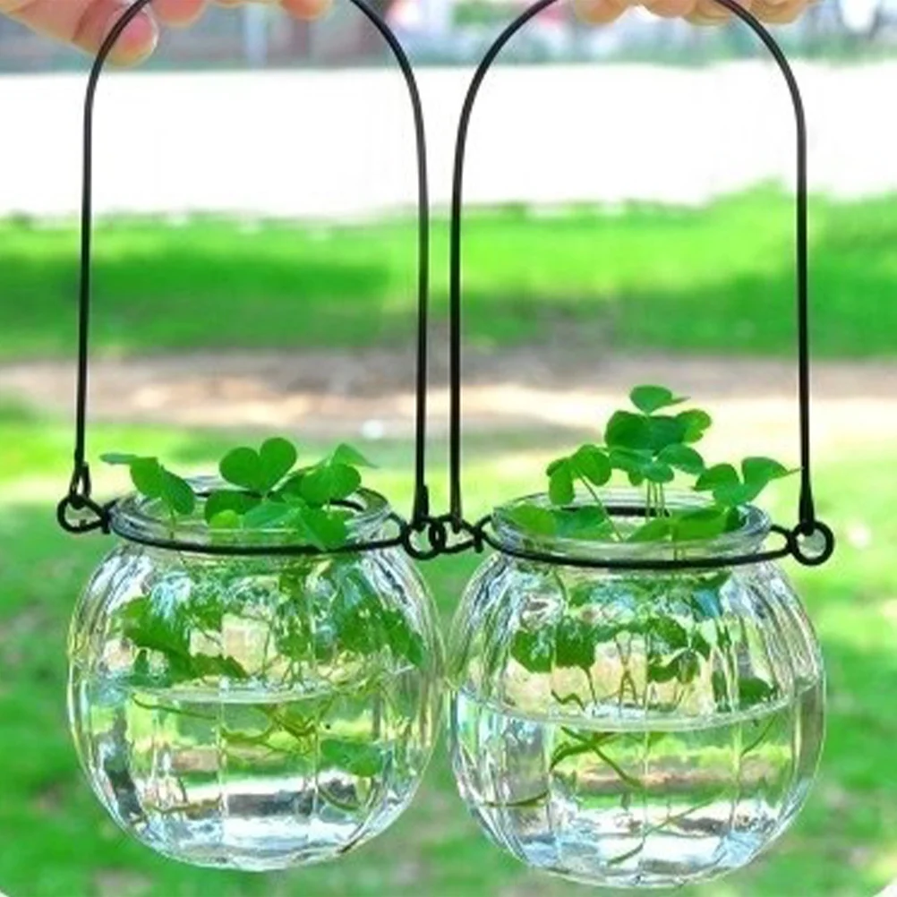 

6Pcs Glass Wall Planter Kit for Plants and Candles Hanging Vases Indoor Outdoor Decor Natural Ambiance Enhancer