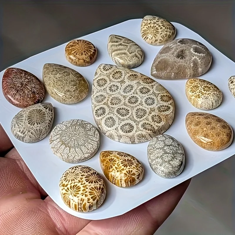 1 قطعة قلادة على شكل دمعة من حجر المرجان الطبيعي المصنوع يدويًا-أحجار كريمة بيضاوية ناعمة مصقولة بوهيمية، مجوهرات جوهرة ميلاد أكتوبر #2