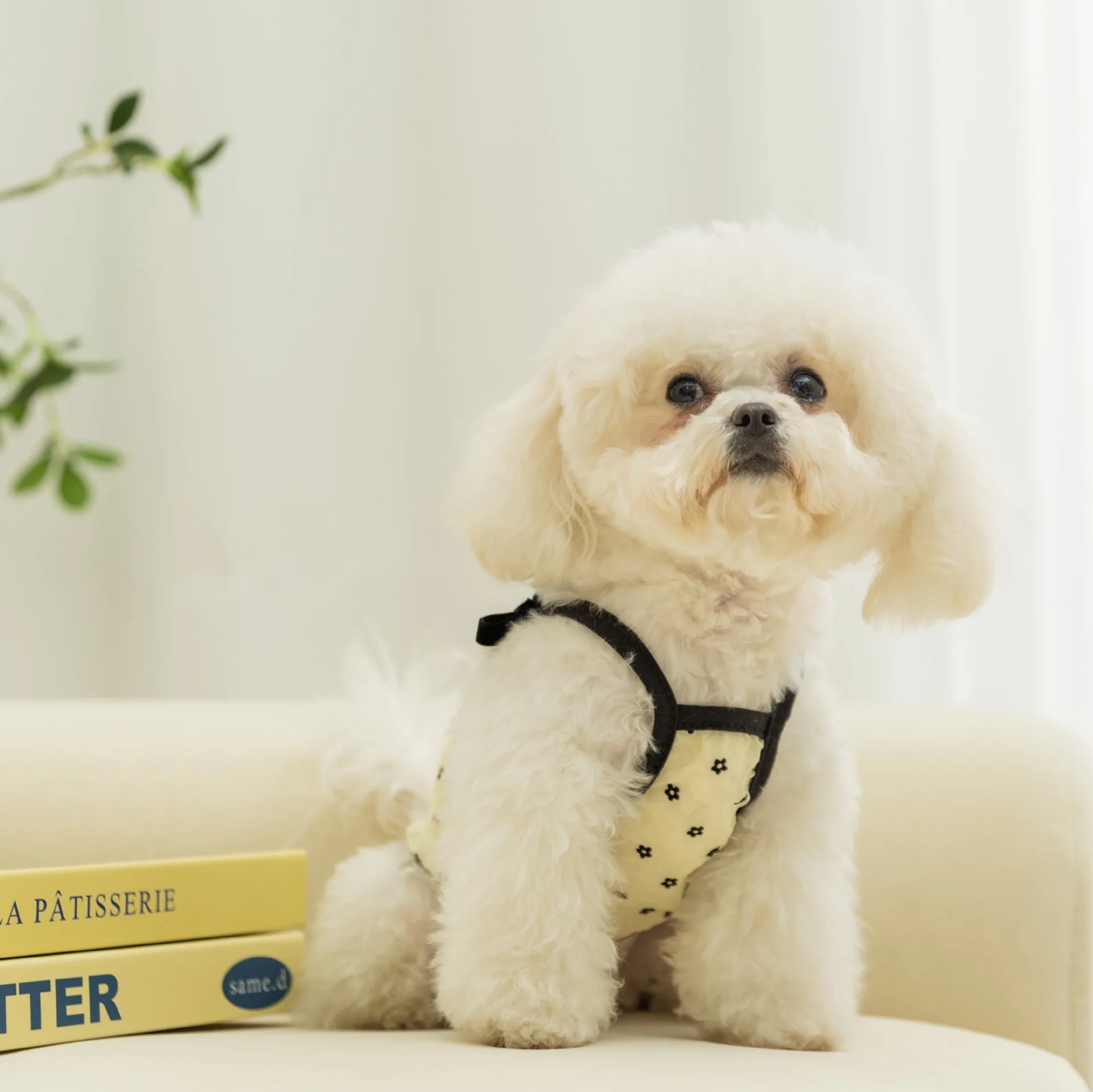 Pakaian Anjing Polka Dot Jaring Selempang Hewan Peliharaan Busur Musim Panas Rompi Sejuk Anjing Kecil dan Menengah Pakaian Lucu Teddy XS-XL