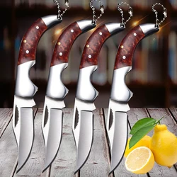 Foldable Pocket Knife with Keychain Stainless Steel Fruit Knife Utility Multi-function Knife Sharp Blade Fruit Folding Knife