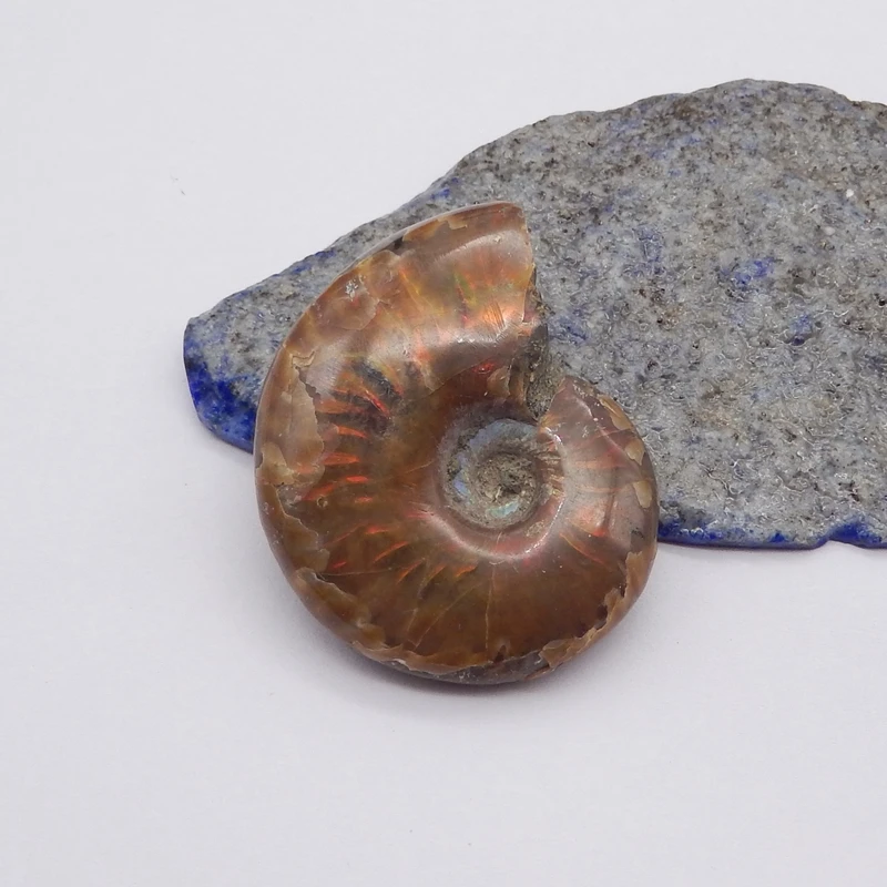 Natural Gemstone Ammonite Cabochon For Pendant DIY Making Semiprecious Stone Trendy Jewelry Necklace Accessory 47x38x12mm 33g