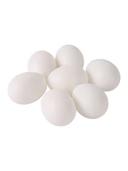 5Pcs Simulated Pigeon Eggs Simulated Fake Eggs Bird Racing Pigeon Hatching Supplies Bird Raising Tools Nest Hatching Eggs