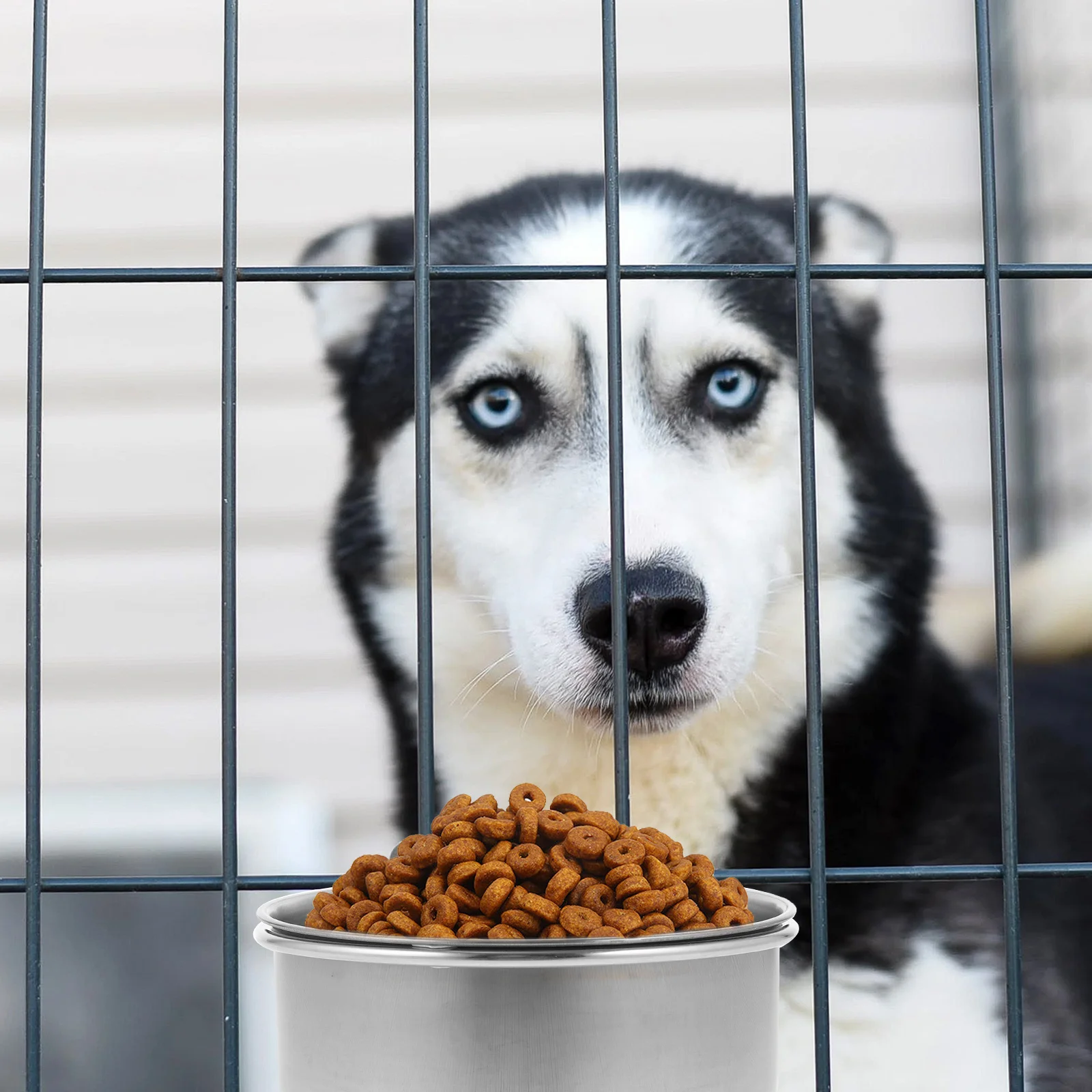 

Stainless Steel Food Water Bowl Pet Bird Crates Cages Size M Hanging Coop Cup Parrot Feeding Dish Dishwasher Safe Rust Resistant