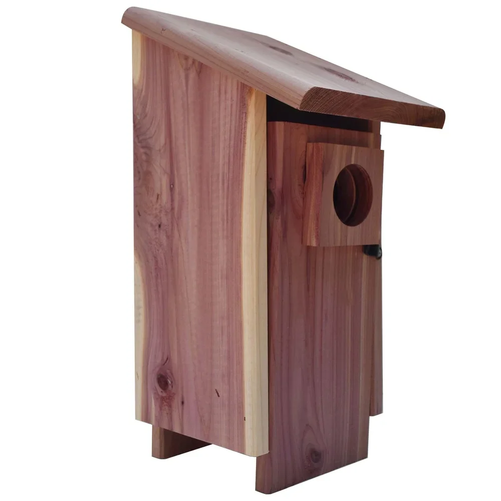 Thumbnail 4 - #8 Compare Birdhouses Before You Buy