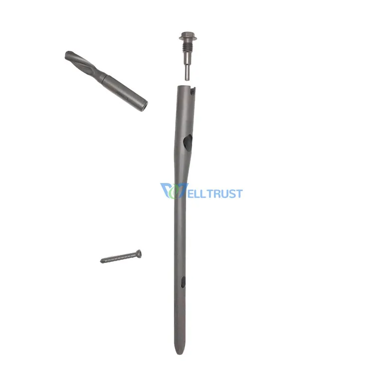 Implants Interventional Materials Well Trust InterZan PFNA Femoral Titanium Alloy Micro-arc Oxidation Interlocking Implant