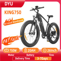 DYU KING750 Electric Bicycle 750W Motor 48V20AH Lithium Battery City E Bike Adult 26*4.0 Inch Fat Tire Mountain Electric Bike