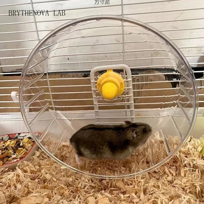 Hamster Running Wheel with Stand Clear Large Quiet Anti Pinch Floorstanding Runner for Pets Small Cage Habitat for Kids Gift