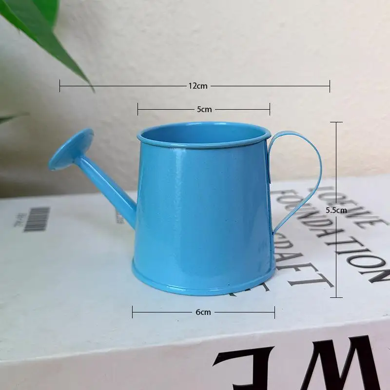 Mini Watering Can Metal Vintage Long Spout Small Pot Indoor Plants Home Decoration Garden Tool Cute